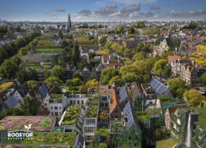 Rooftop Revolution zet in op multifunctionele, biodiverse groene daken.