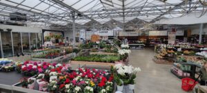 Garden Centre Quality Awards: Tuincentrum Claes uit Edegem uitgeroepen tot beste tuincentrum van Vlaanderen