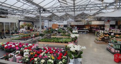 Garden Centre Quality Awards: Tuincentrum Claes uit Edegem uitgeroepen tot beste tuincentrum van Vlaanderen