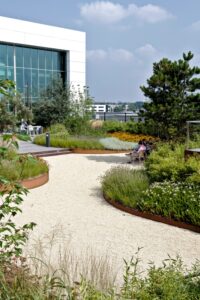 Durf beplanting voorop te stellen en niet ondergeschikt te laten zijn. Zo kunnen we gezamenlijk zorgen voor duurzaam ontwikkelde beplanting om ons heen. Op deze manier zijn we samen beter voor buiten!