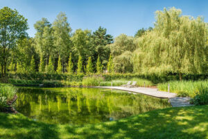 Zwemvijver met natuurlijke vorm door Cools Tuinaanleg.