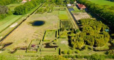 Plantentuin Merksplas - foto Tim Delmoitie