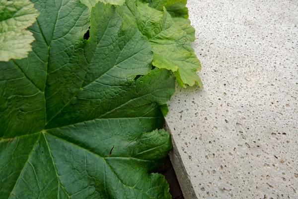 Schellevis® produceert een uniek assortiment aan sierbestrating en elementen van beton. De natuur is een belangrijke inspiratiebron voor de tijdloze producten.