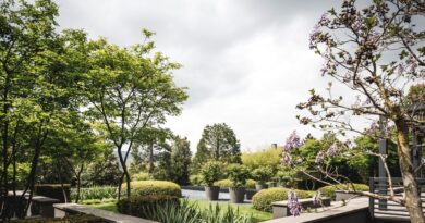 Nieuw koffietabelboek voor liefhebbers van tuinarchitectuur: Eden. Garden Design door Marcel Wolterinck.