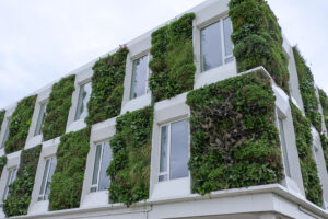 Schrijf je nu in voor de inspiratienamiddag voor groendaken en groene gevels, op 22 juni 2023 in Gent.