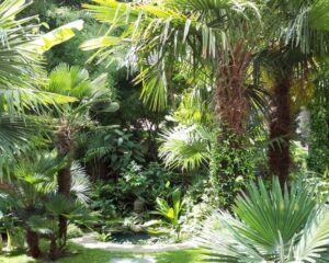 Garden Tales is een uniek evenementen dat je privé- en openbare tuinen en parken in Brussel laat ontdekken.