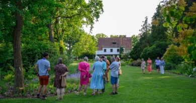 Ga deze zomer kennismaken met de Tuin van Sonia, de gloednieuwe uitbreiding van 1 hectare in Arboretum Kalmthout. Je wandelt er langs 100 nieuwe bomen en 15.000 nieuwe vaste planten.