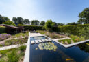 Tuin- en landschapsarchitect Eef Coolen van het tuinbedrijf Bolster tipt haar favoriete boom.