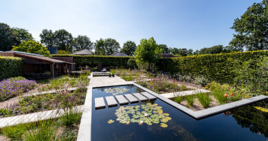 Tuin- en landschapsarchitect Eef Coolen van het tuinbedrijf Bolster tipt haar favoriete boom.