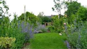 Als tuinprofessional ambassadeur van natuurlijke tuinen