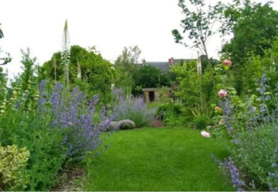 Als tuinprofessional ambassadeur van natuurlijke tuinen