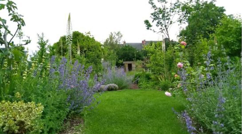 Als tuinprofessional ambassadeur van natuurlijke tuinen