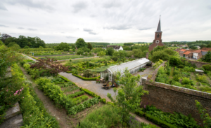 Ben je op zoek naar zeldzame planten of wil je er meer over leren? Dan is een bezoek aan de Tuin- en Plantendagen van Kasteel Hex absoluut de moeite waard. Je ontmoet er gespecialiseerde plantenkwekers en ervaren tuinspecialisten die hun kennis graag met je delen. Het tuinevenement vindt plaats op zaterdag 9 en zondag 10 september.