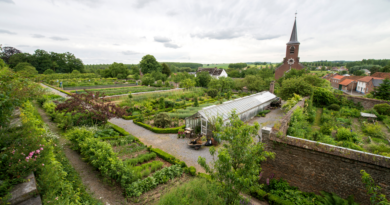 Ben je op zoek naar zeldzame planten of wil je er meer over leren? Dan is een bezoek aan de Tuin- en Plantendagen van Kasteel Hex absoluut de moeite waard. Je ontmoet er gespecialiseerde plantenkwekers en ervaren tuinspecialisten die hun kennis graag met je delen. Het tuinevenement vindt plaats op zaterdag 9 en zondag 10 september.