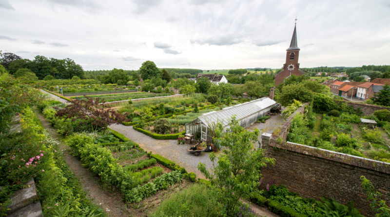 Ben je op zoek naar zeldzame planten of wil je er meer over leren? Dan is een bezoek aan de Tuin- en Plantendagen van Kasteel Hex absoluut de moeite waard. Je ontmoet er gespecialiseerde plantenkwekers en ervaren tuinspecialisten die hun kennis graag met je delen. Het tuinevenement vindt plaats op zaterdag 9 en zondag 10 september.