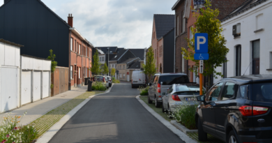 Straat in Denderleeuw als voorbeeld van klimaatbestendig groenbeheer.