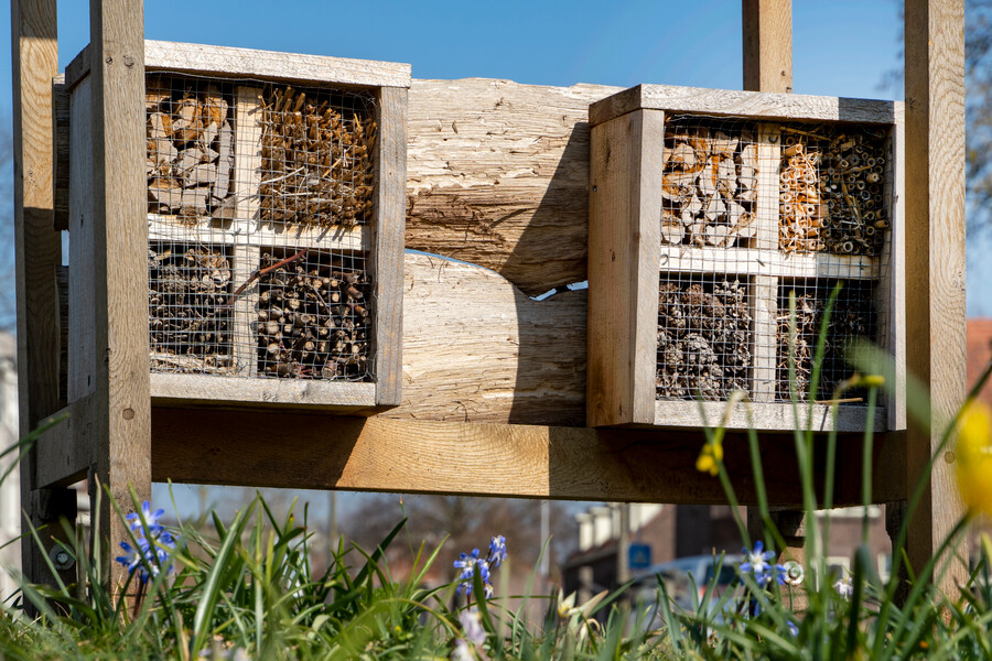 Insectenhotel in de openbare ruimte tussen een bloemenweide