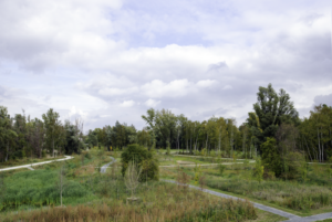 Impressie natuur in Aan de Vallei
