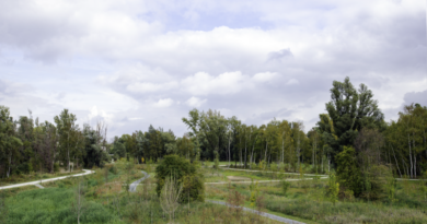 Impressie natuur in Aan de Vallei