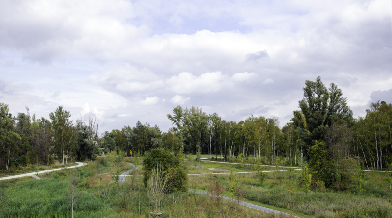 Impressie natuur in Aan de Vallei