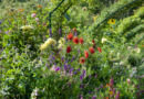 Een mix van Dahlia's, geïnspireerd door de tuin van Claude Monet in Normandië.