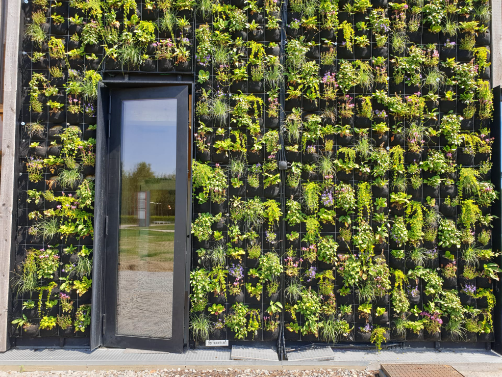 De voordelen van verticaal groen: het circulaire kantoorgebouw van Kamp C in Westerlo.