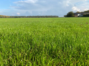 Wanneer is het zinvol om graszaad te coaten? En kan coating de weerbaarheid van grassen tegen klimaatverandering versterken?