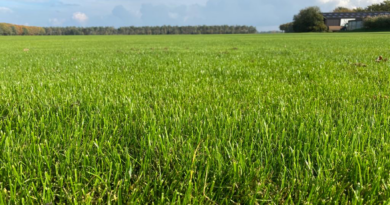 Wanneer is het zinvol om graszaad te coaten? En kan coating de weerbaarheid van grassen tegen klimaatverandering versterken?