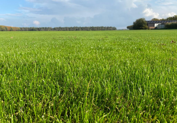 Wanneer is het zinvol om graszaad te coaten? En kan coating de weerbaarheid van grassen tegen klimaatverandering versterken?