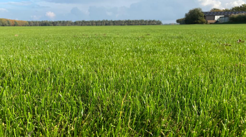 Wanneer is het zinvol om graszaad te coaten? En kan coating de weerbaarheid van grassen tegen klimaatverandering versterken?