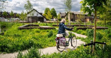 Samen met keten- en kennispartners werken aan biodiversiteit en klimaatbestendigheid: Heijmans wil onderdeel zijn van de oplossing