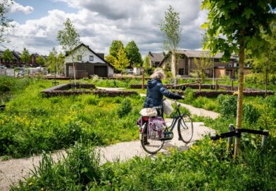 Samen met keten- en kennispartners werken aan biodiversiteit en klimaatbestendigheid: Heijmans wil onderdeel zijn van de oplossing