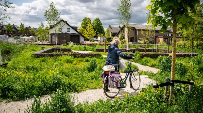 Samen met keten- en kennispartners werken aan biodiversiteit en klimaatbestendigheid: Heijmans wil onderdeel zijn van de oplossing