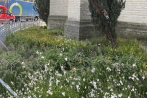 Unieke renovatie kerktuin Vilvoorde
