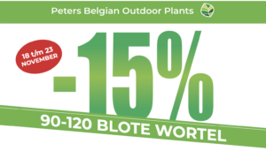 Profiteer van 15% korting op haagplanten met blote wortel bij Peters Belgian Outdoor Plants.
