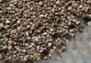 ACO Gravel Grid: sterker door conisch ontwerp