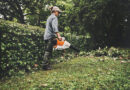 Maximale blaaskracht met de nieuwe STIHL BGA 250