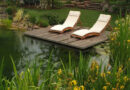 Vijverplanten: tips van Distri Pond
