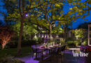 Breng tuinprojecten tot leven met grondspot SMART SCOPE TONE van in-lite! Kies voor warm wit of kleurverlichting en creëer de gewenste sfeer. De gebruiksvriendelijke in-lite app biedt volledige controle en flexibiliteit voor elk tuinontwerp.