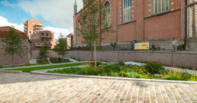Kerktuin Wetteren: ontharding als fundament voor een klimaatrobuuste toekomst
