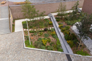 Kerktuin Wetteren: ontharding als fundament voor een klimaatrobuuste toekomst
