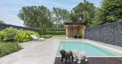 In 2024 bekroonde het 'Concours de l'Entrepreneur de Jardins de Wallonie' de gepassioneerde ondernemer Samuel Tonneau met een bronzen medaille in de categorie kleine tuinen. Deze onderscheiding komt niet onverwacht voor deze tuinarchitectuurexpert, die sinds 2014 indruk maakt met zijn visie en creativiteit.