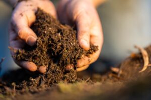Duurzaam bodem en grasbeheer: de bodem als fundament