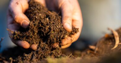 Duurzaam bodem en grasbeheer: de bodem als fundament