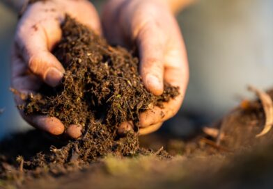 Duurzaam bodem en grasbeheer: de bodem als fundament
