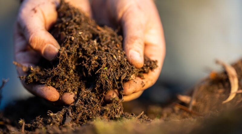Duurzaam bodem en grasbeheer: de bodem als fundament