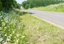 Wadi’s: slim waterbeheer met gras- en bloemenmengsels