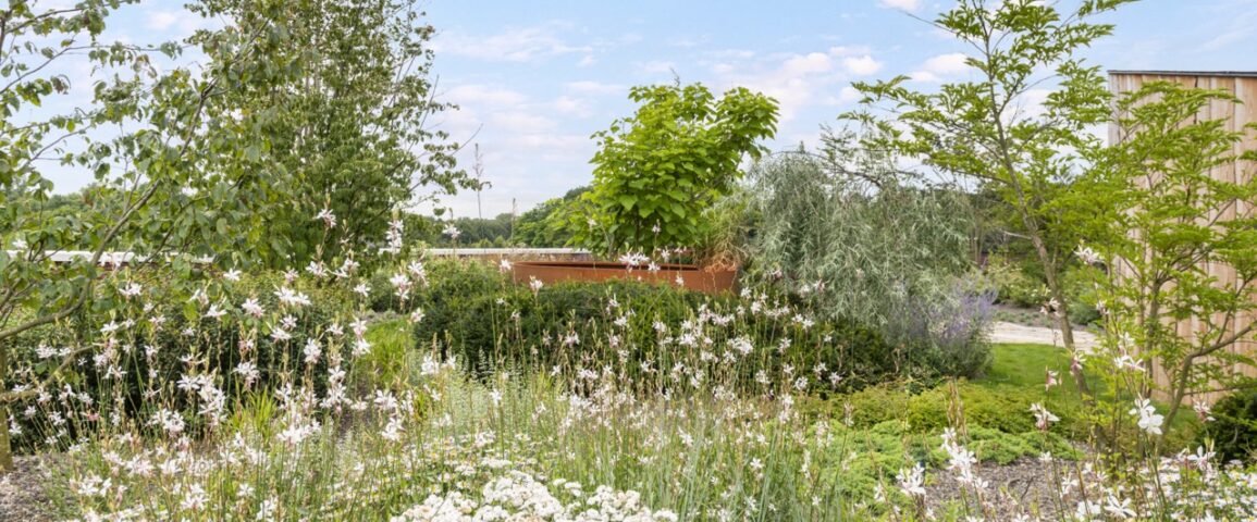 Plantencentrum Houtmeyers is een familiebedrijf waar de liefde voor planten al generaties lang wordt doorgegeven.