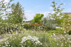 Plantencentrum Houtmeyers is een familiebedrijf waar de liefde voor planten al generaties lang wordt doorgegeven.
