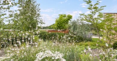 Plantencentrum Houtmeyers is een familiebedrijf waar de liefde voor planten al generaties lang wordt doorgegeven.
